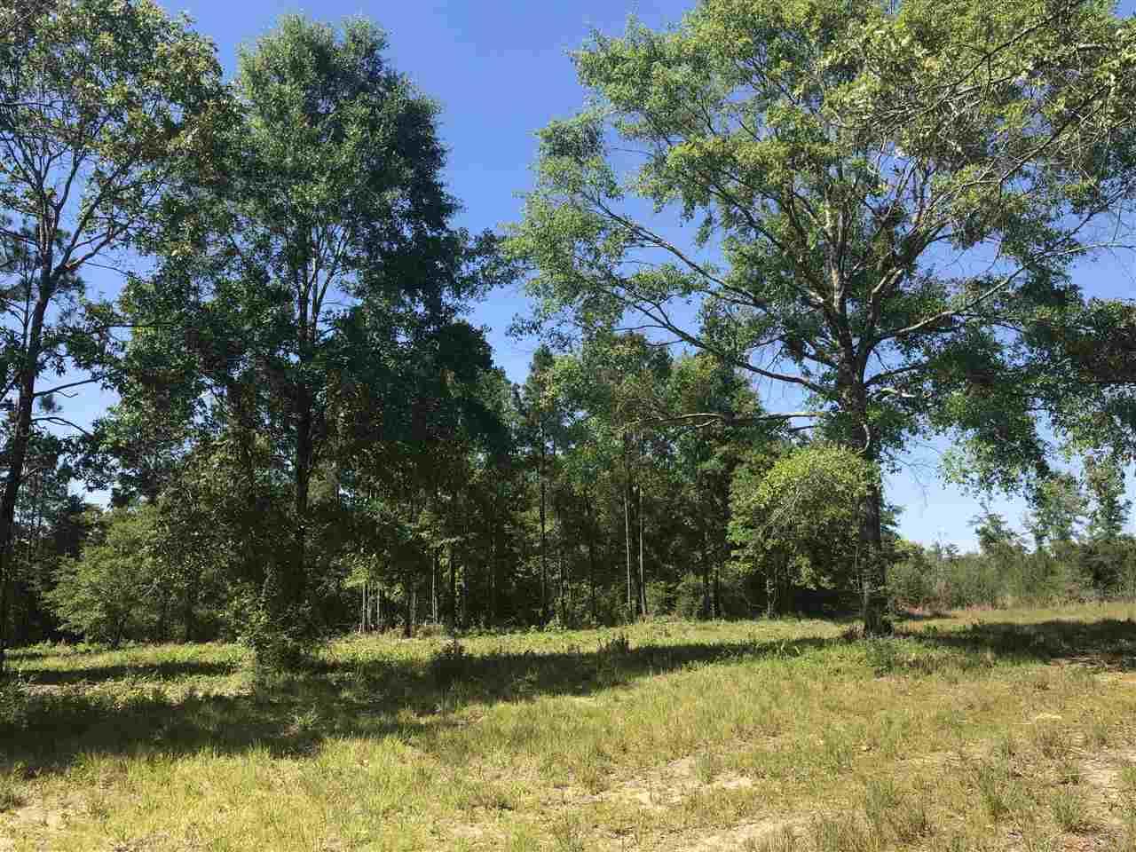 Lot 34-br Buffalo Ridge Road Pace, FL 32571 - Photo 2 of 9