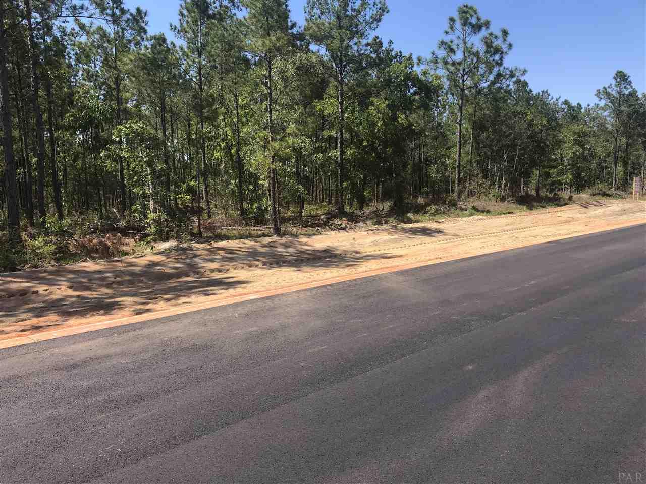 Lot 34-br Buffalo Ridge Road Pace, FL 32571 - Photo 3 of 9
