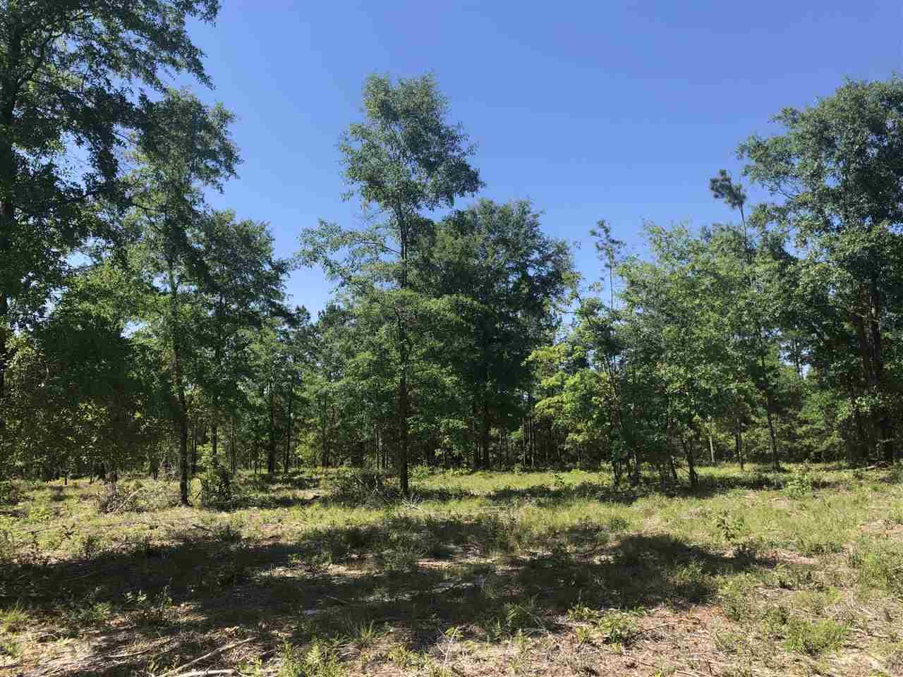 Lot 34-br Buffalo Ridge Road Pace, FL 32571 - Photo 8 of 9