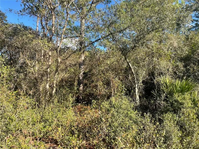 $44,900 | Rose Bud Drive, DeLand, FL 32720