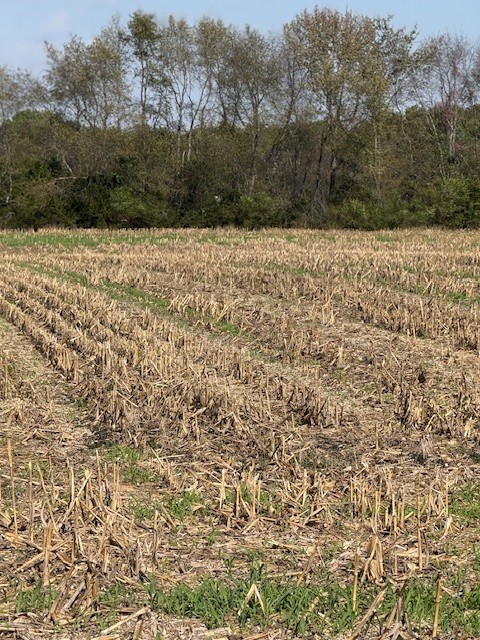 562 North Harris Road Portland, TN 37148 - Photo 5 of 5