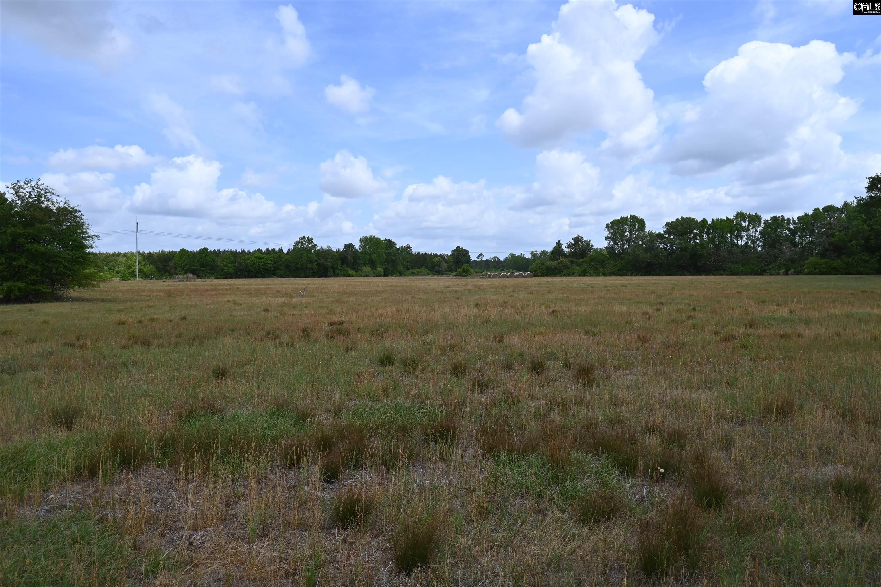 Tbd Gallowaytown Road Hartsville, SC 29550 - Photo 32 of 34