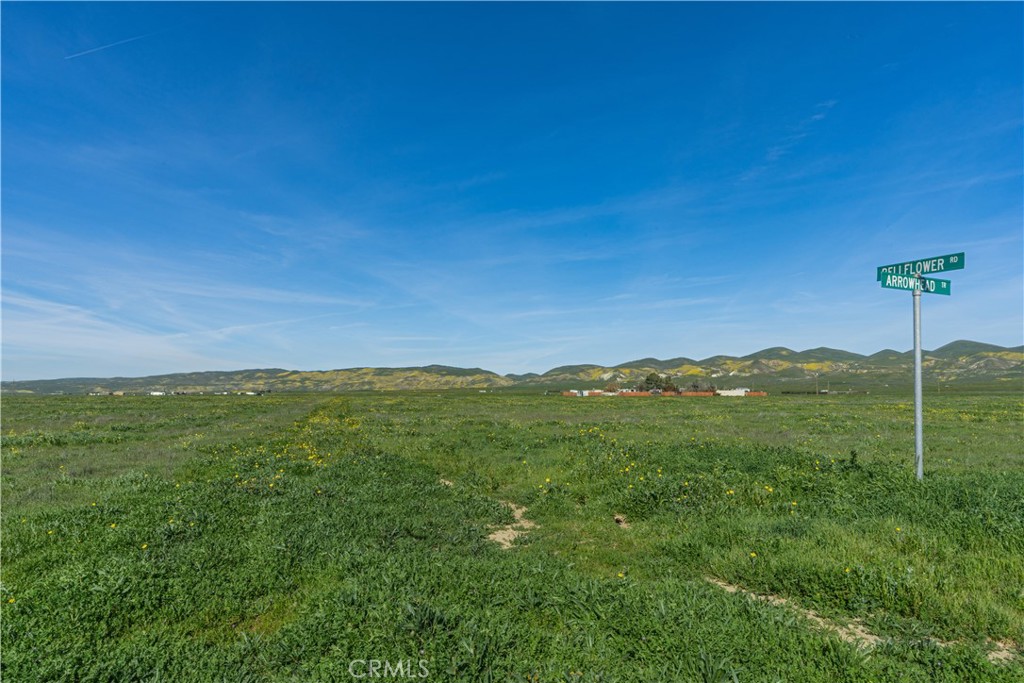0 Bellflower Road Santa Margarita, CA 93453 - Photo 11 of 14 a view of an mountain