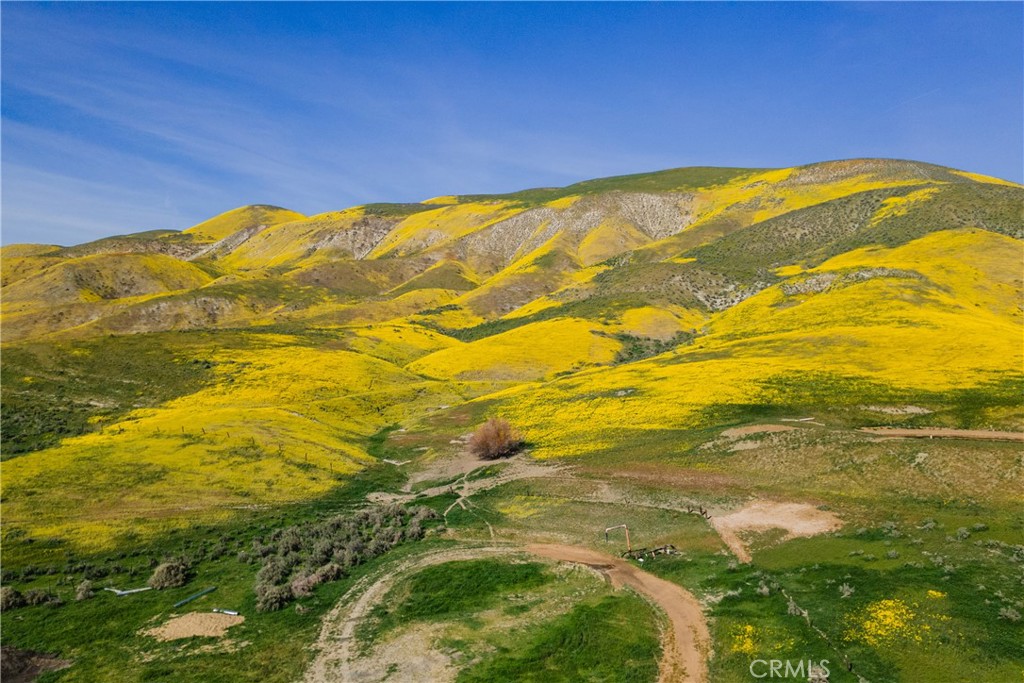 0 Bellflower Road Santa Margarita, CA 93453 - Photo 12 of 14 a view of an ocean