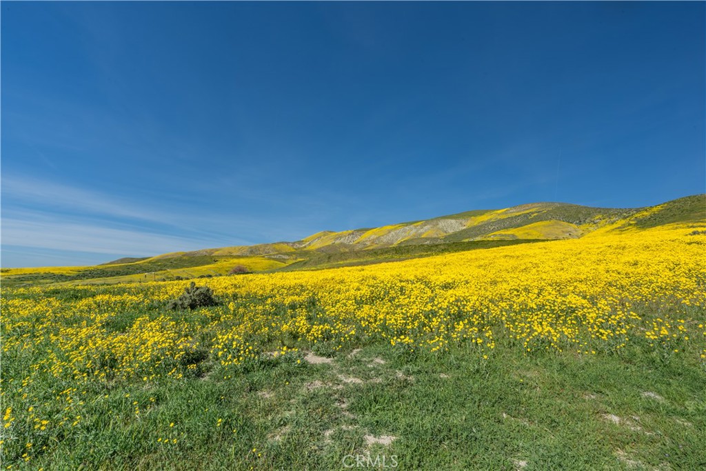 0 Bellflower Road Santa Margarita, CA 93453 - Photo 13 of 14 a view of an ocean