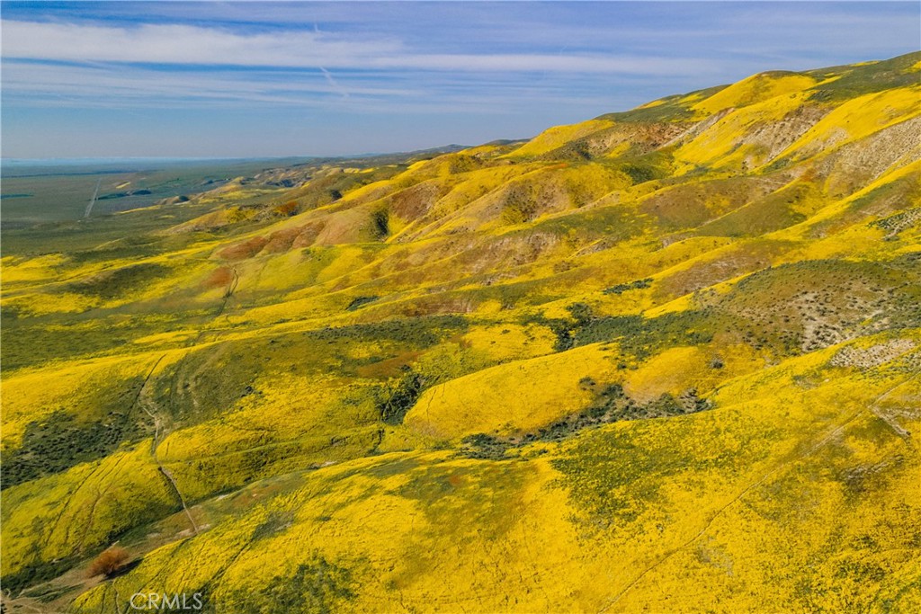0 Bellflower Road Santa Margarita, CA 93453 - Photo 14 of 14 a view of an indoor swimming pool