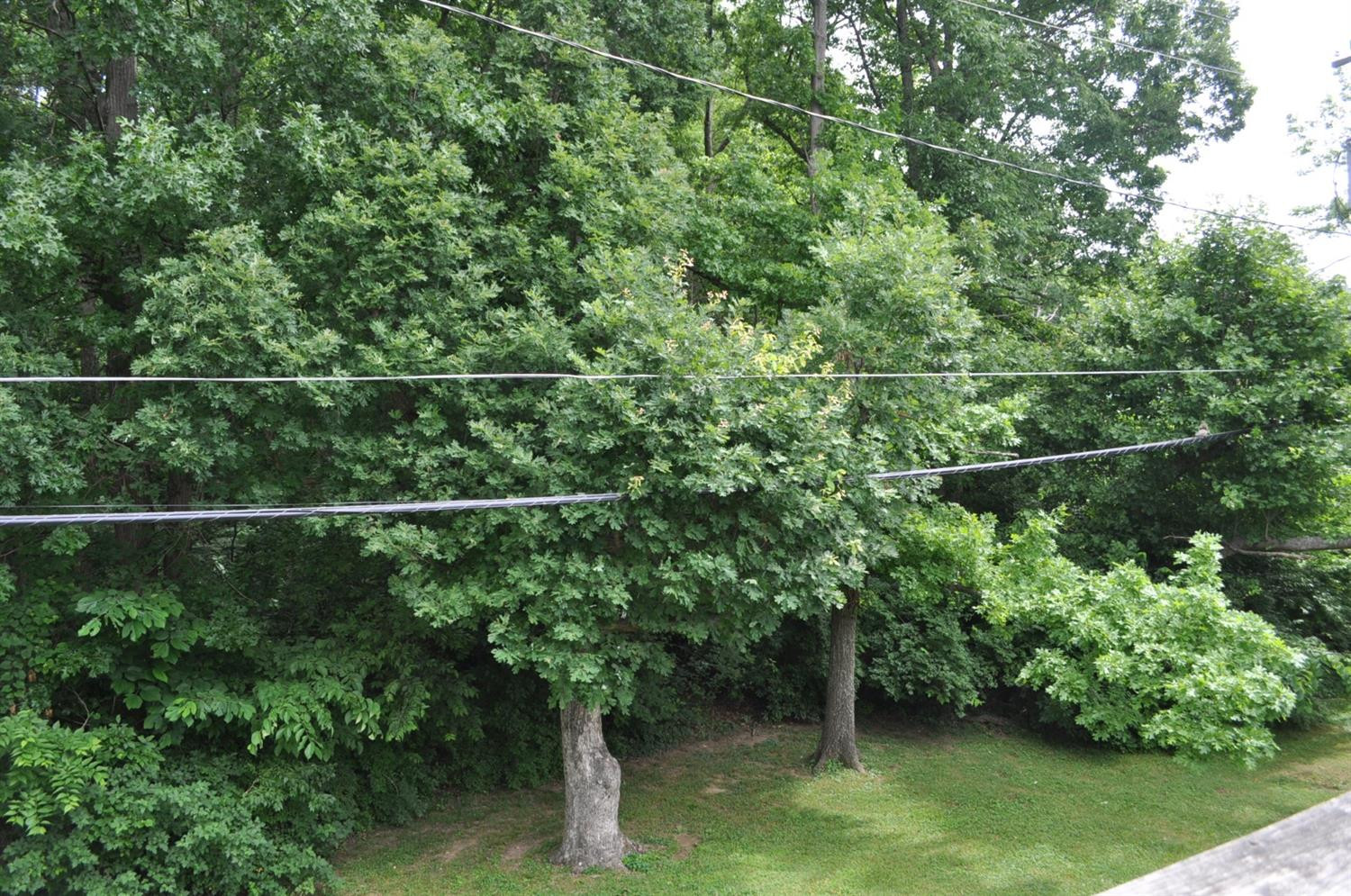 421 Harrodswood Road Frankfort, KY 40601 - Photo 14 of 14 Photo 14
