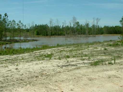 660 Beaver Dam Road Perkinston, MS 39573 - Photo 2 of 4 Additional Photo