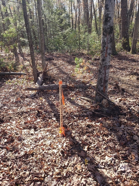 0 Northwest Road Westfield, MA 01085 - Photo 2 of 7 Gallery Image 2