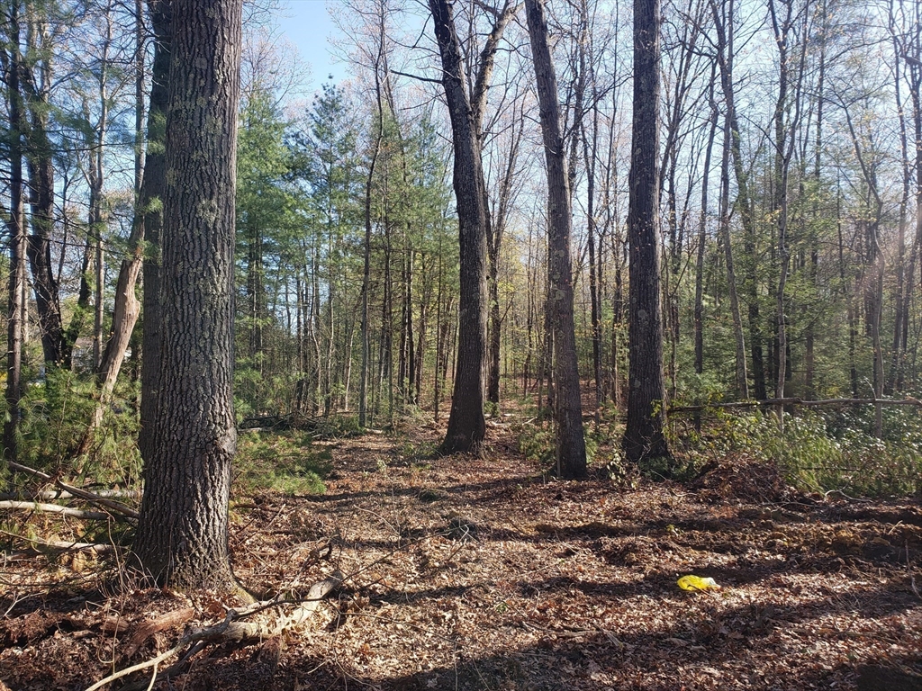 0 Northwest Road Westfield, MA 01085 - Photo 3 of 7 Gallery Image 3