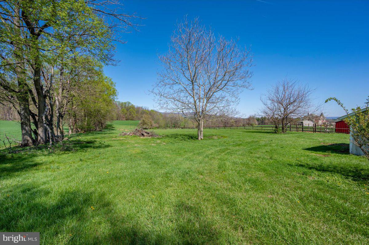 5536 Catholic Church Road Jefferson, MD 21755 - Photo 54 of 67 Rear Yard