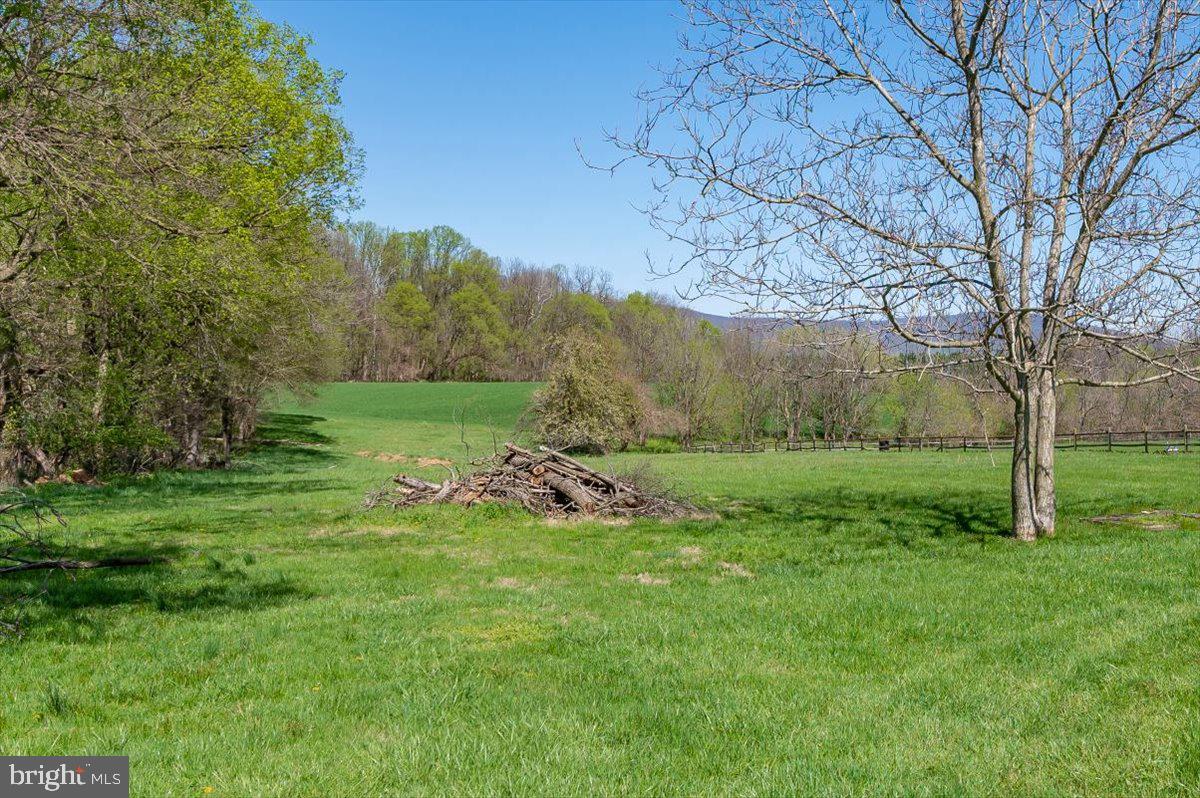 5536 Catholic Church Road Jefferson, MD 21755 - Photo 55 of 67 Rear Yard