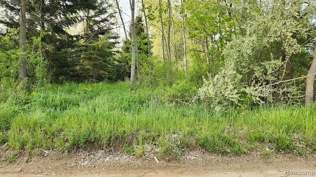 0 East Lovejoy Road Linden, MI 48451 - Photo 3 of 3