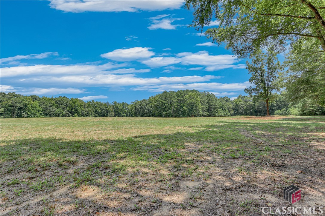 111 Echols Road Carlton, GA 30627 - Photo 60 of 70