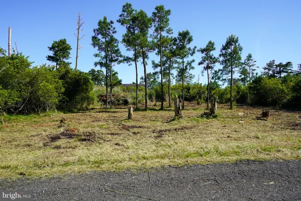 a view of park with swings and trees