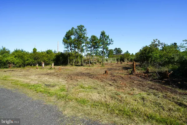 a view of swimming pool with a yard