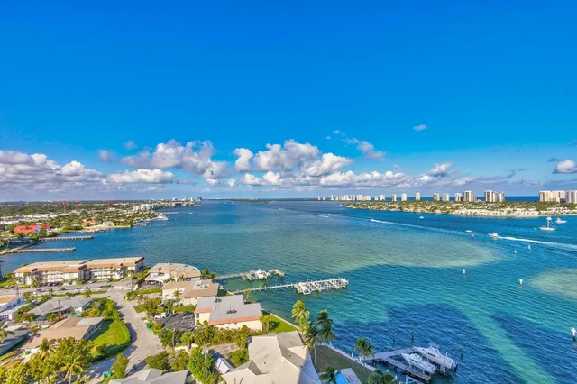 a view of a park with large trees