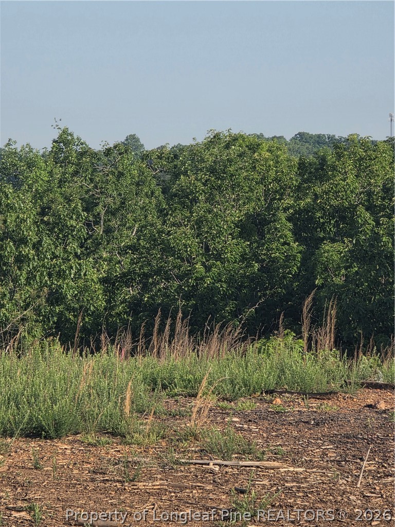 0 Skeen View Road Asheboro, NC 27205 - Photo 20 of 20 a view of a yard