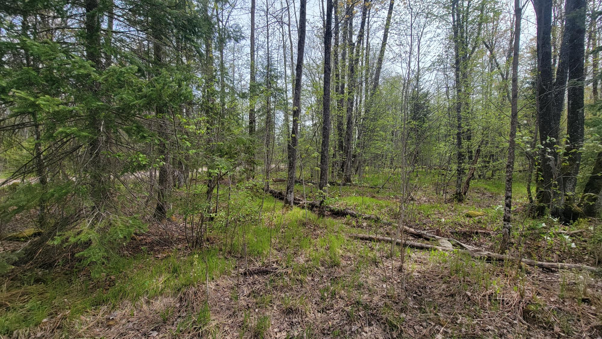 W10389 Fleming Road Park Falls, WI 54552 - Photo 23 of 31 Gallery Image 23