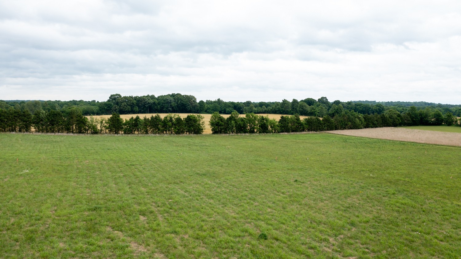 2 J D Todd Road Murfreesboro, TN 37129 - Photo 4 of 7 a view of a field with a yard