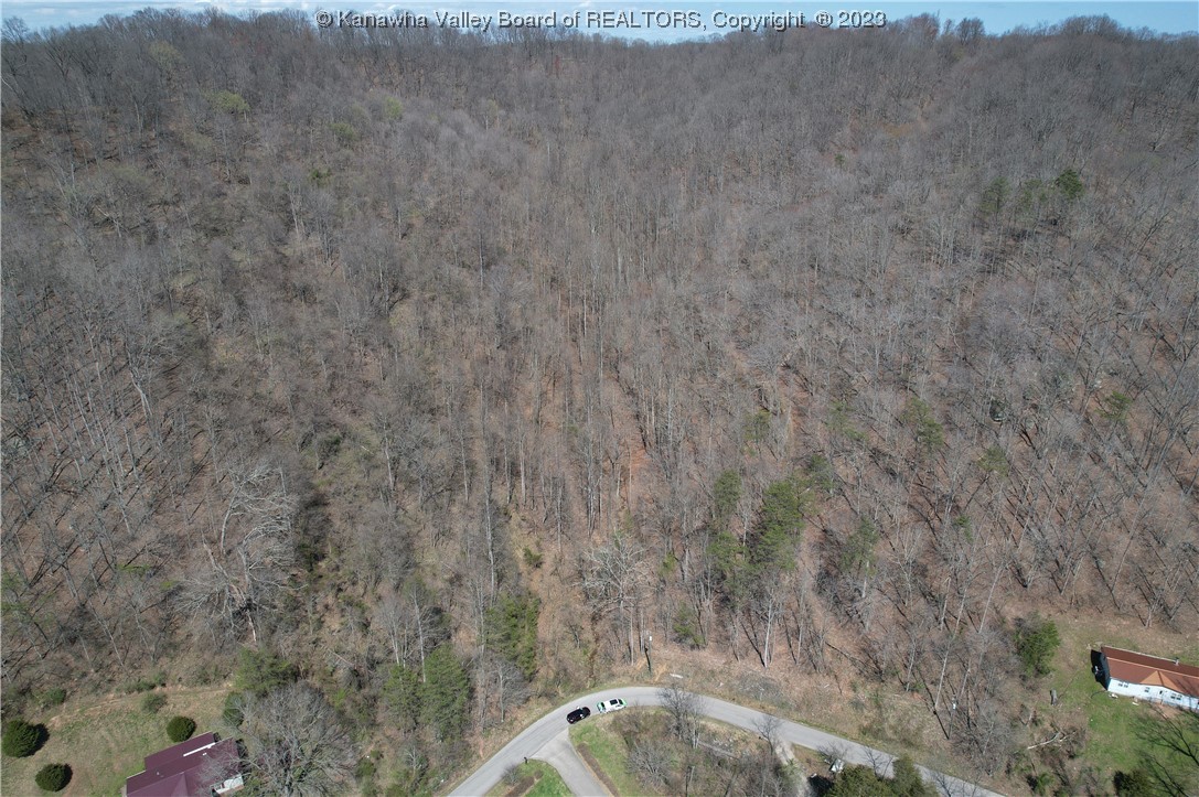 0 Grapevine Road Charleston, WV 25320 - Photo 8 of 9 Gallery Image 8