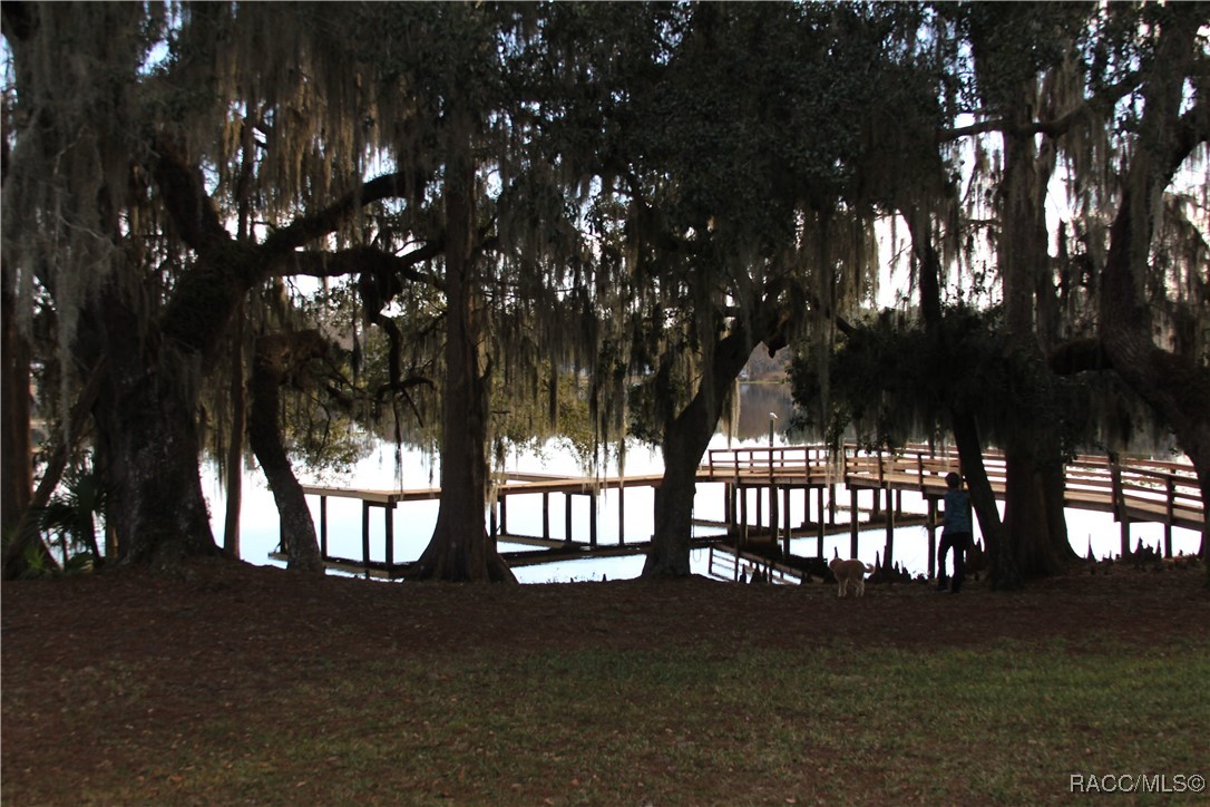 826 Lanark Drive Inverness, FL 34453 - Photo 29 of 32 Docks
