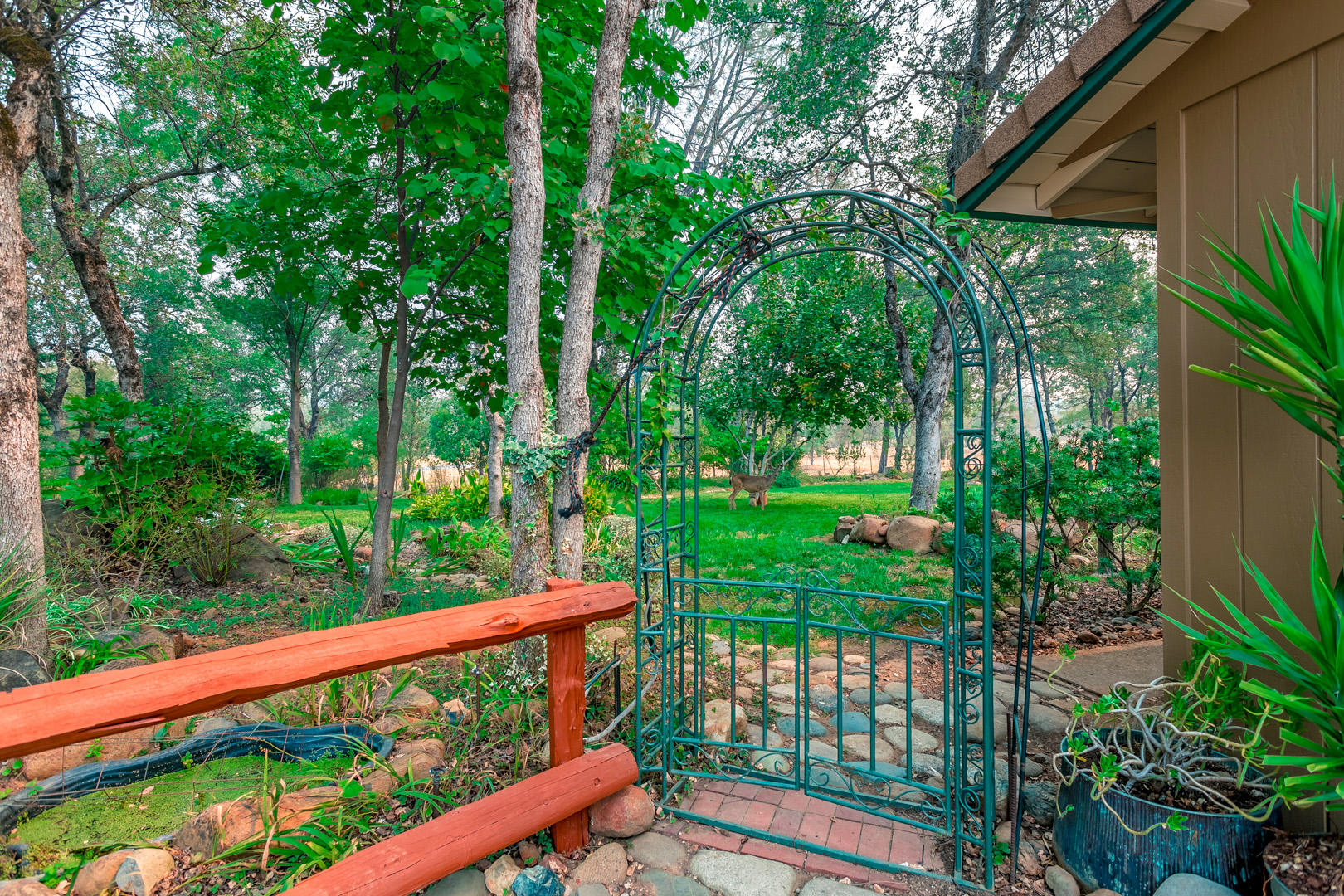 11800 Quartz Hill Road Redding, CA 96003 - Photo 55 of 70 61 backyard