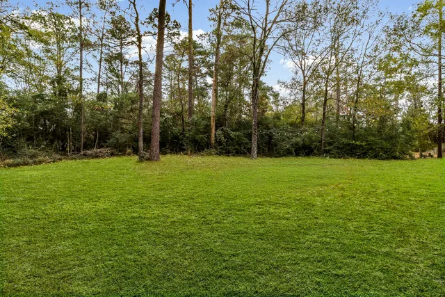 a backyard of a house with lots of green space
