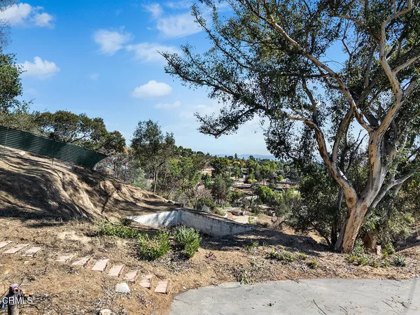 a view of a yard with a tree