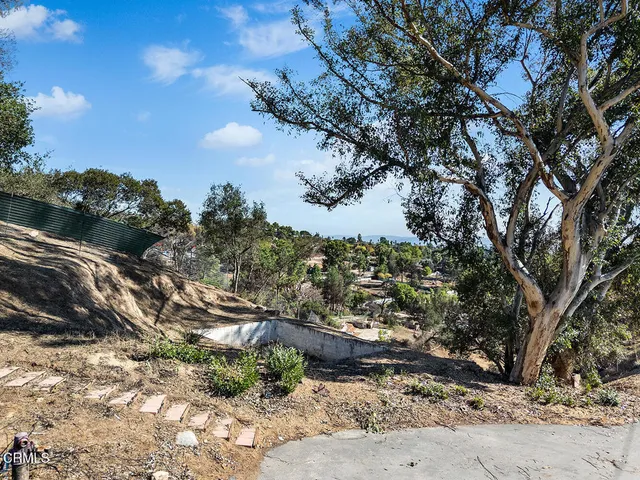 a view of a yard with a tree