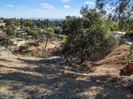 a view of a yard with a tree