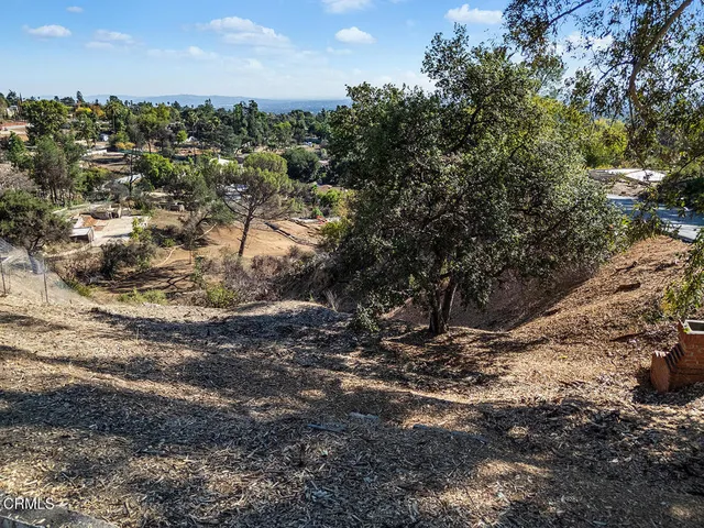 a view of a yard with a tree