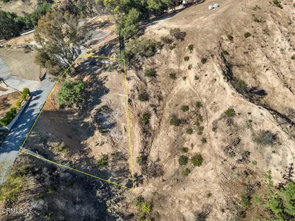 a view of a dry yard with lots of trees