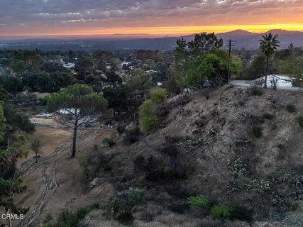 a view of a dry yard with lots of green space
