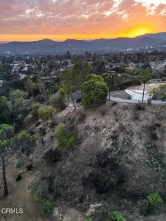 a view of a yard with plants