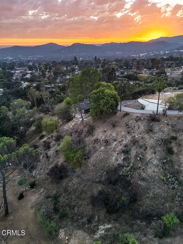 a view of a yard with plants