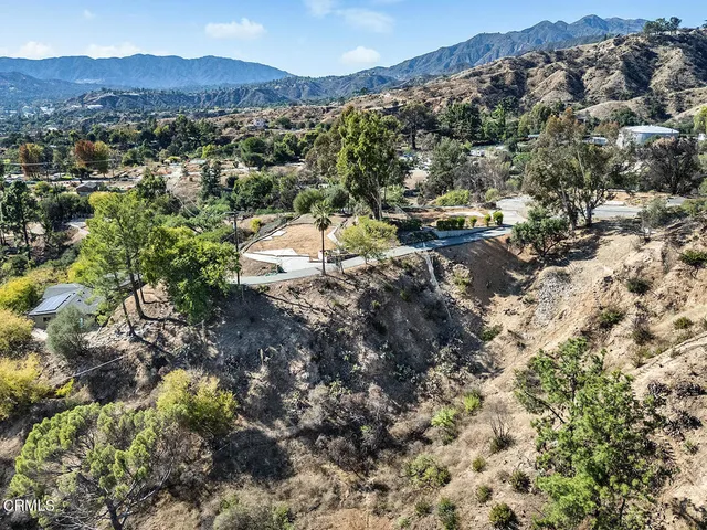 a view of a lot of trees and houses