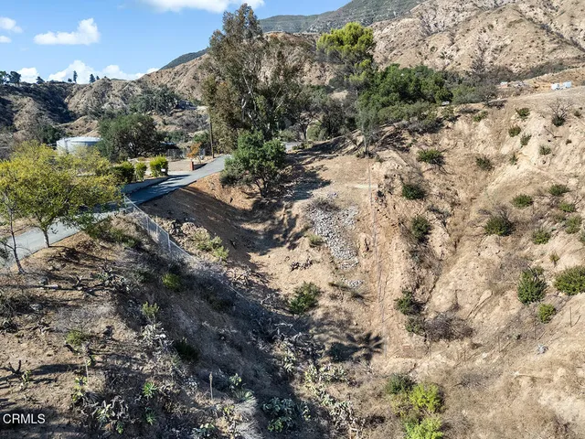 a view of a city with lush green forest