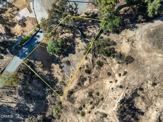 a view of a yard with a tree