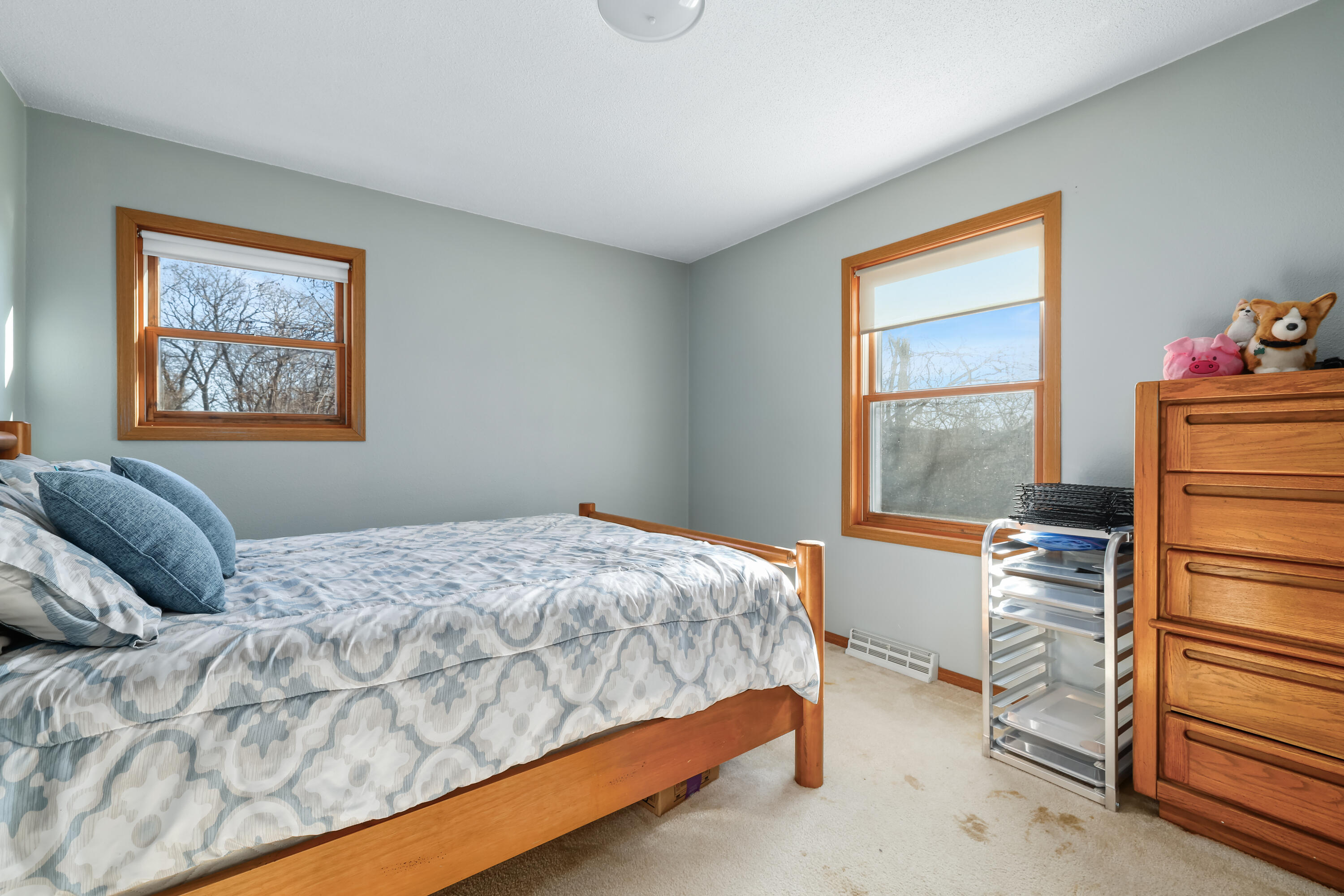 5055 County 9 Houston, MN 55943 - Photo 11 of 28 _C8A9282