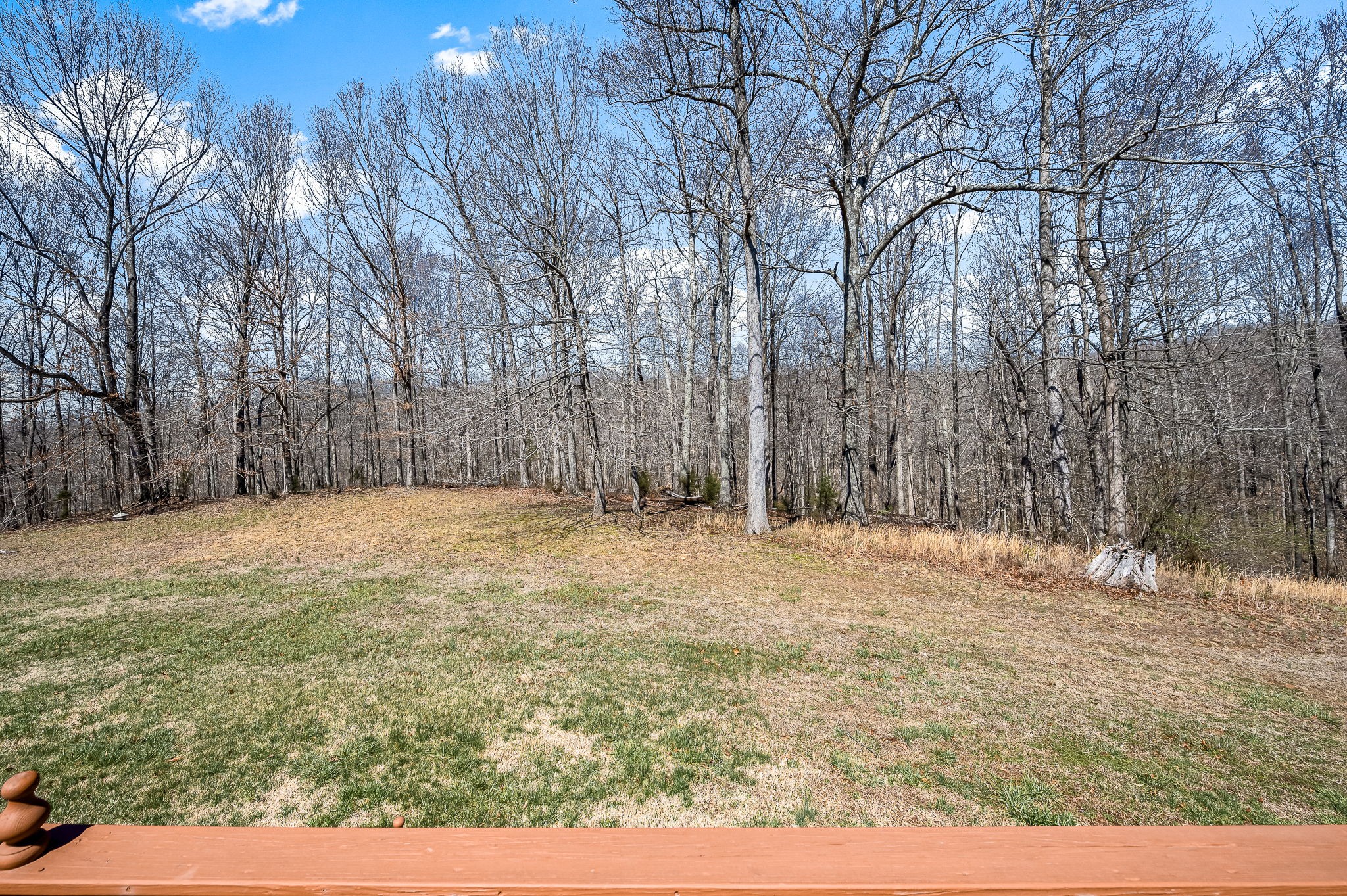 1246 Oakwood Road Joelton, TN 37080 - Photo 53 of 61 a view of large yard with trees