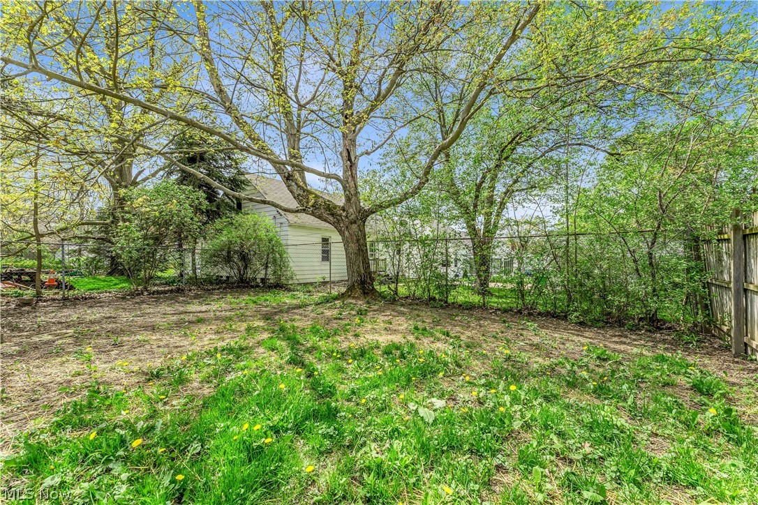 1828 South Green Road Cleveland, OH 44121 - Photo 30 of 30 View of yard