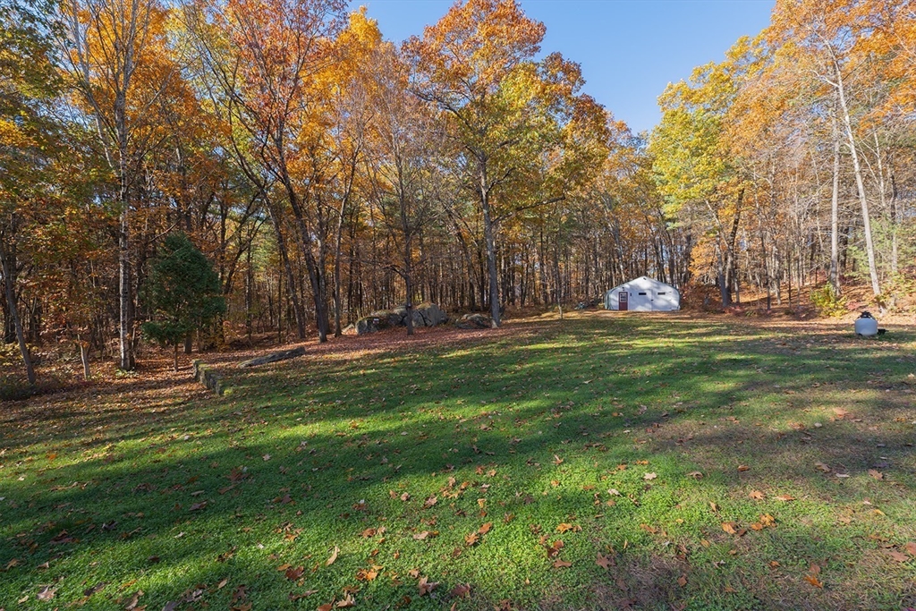 46 Long Pond Road Tyngsborough, MA 01879 - Photo 12 of 41 a view of a park with large trees