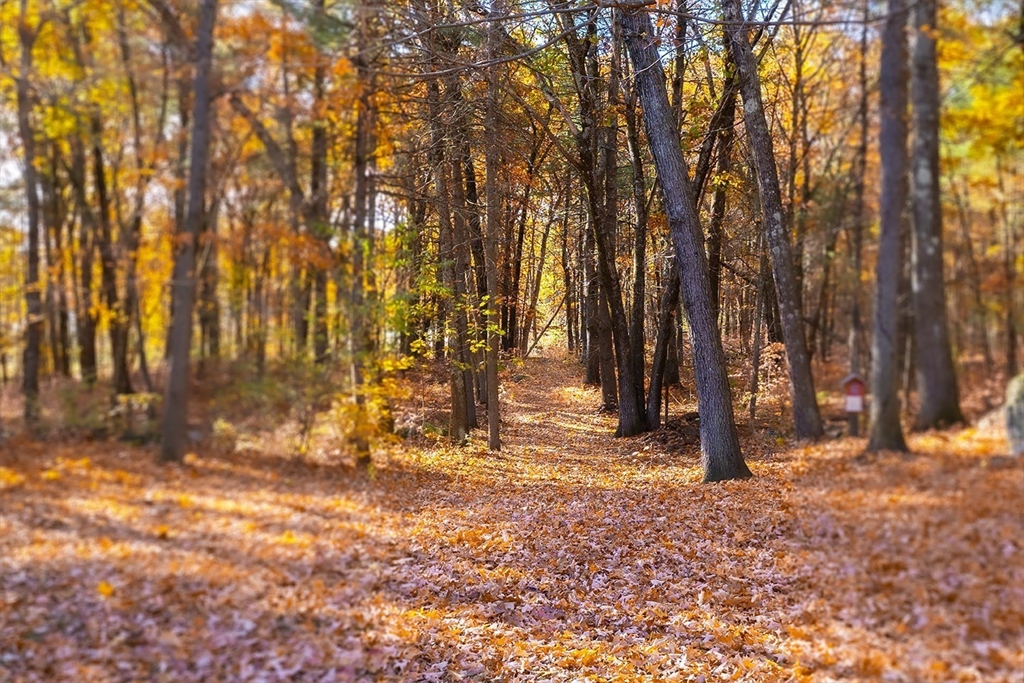 46 Long Pond Road Tyngsborough, MA 01879 - Photo 14 of 41