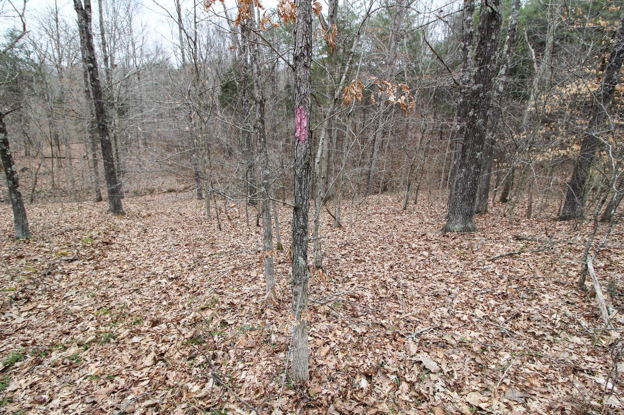 14630 Robinson Road Amesville, OH 45711 - Photo 35 of 39 IMG_4009