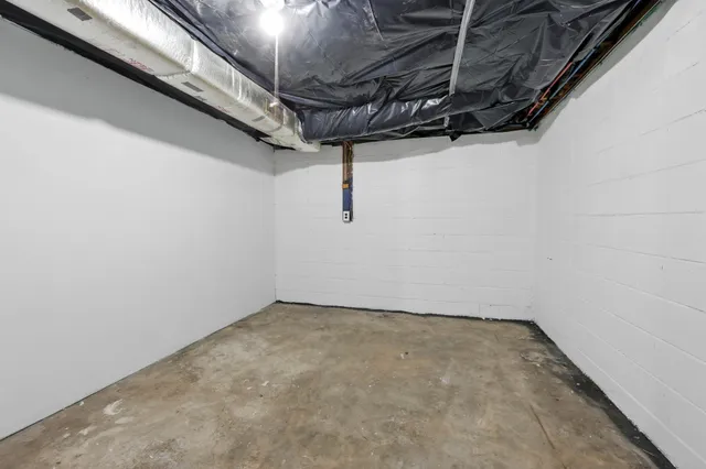 a view of a yard with plants and trees