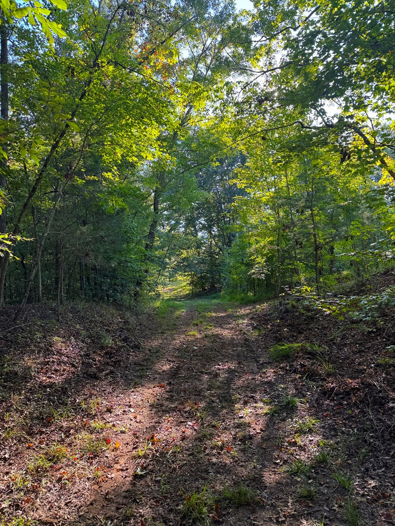 117 Drake Road Honea Path, SC 29654 - Photo 15 of 23