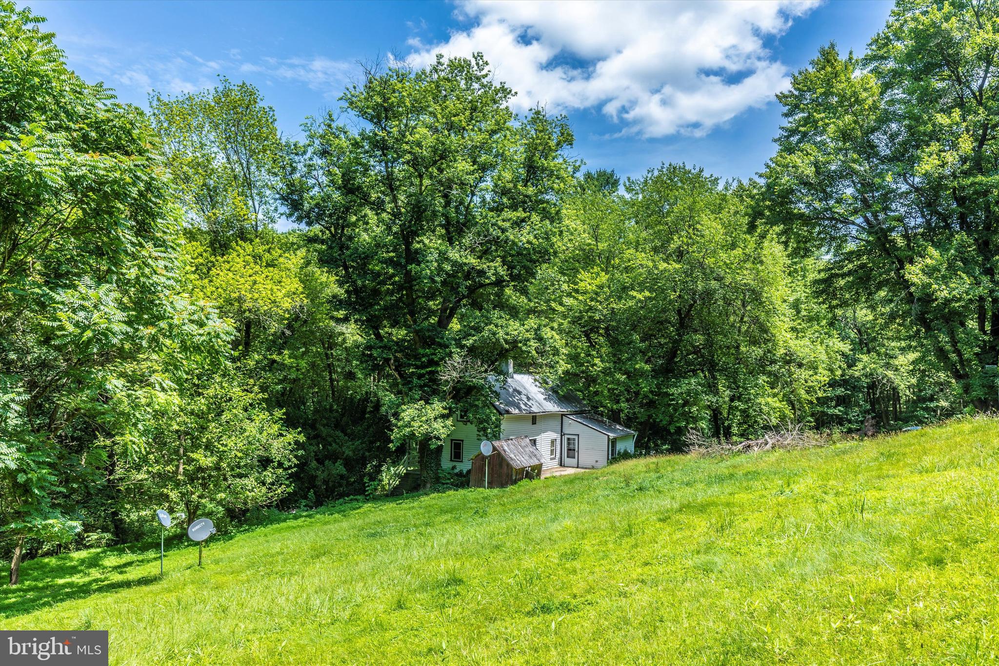6300 Old Bohn Road Mount Airy, MD 21771 - Photo 38 of 45 a view of a big yard with plants and large trees