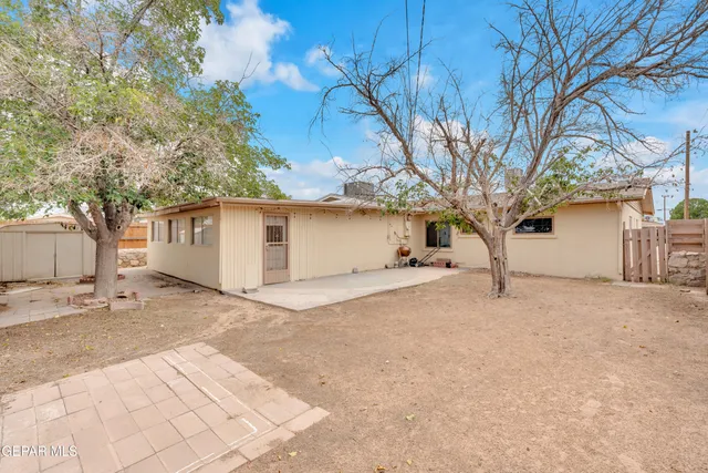 a view of a backyard with a large tree