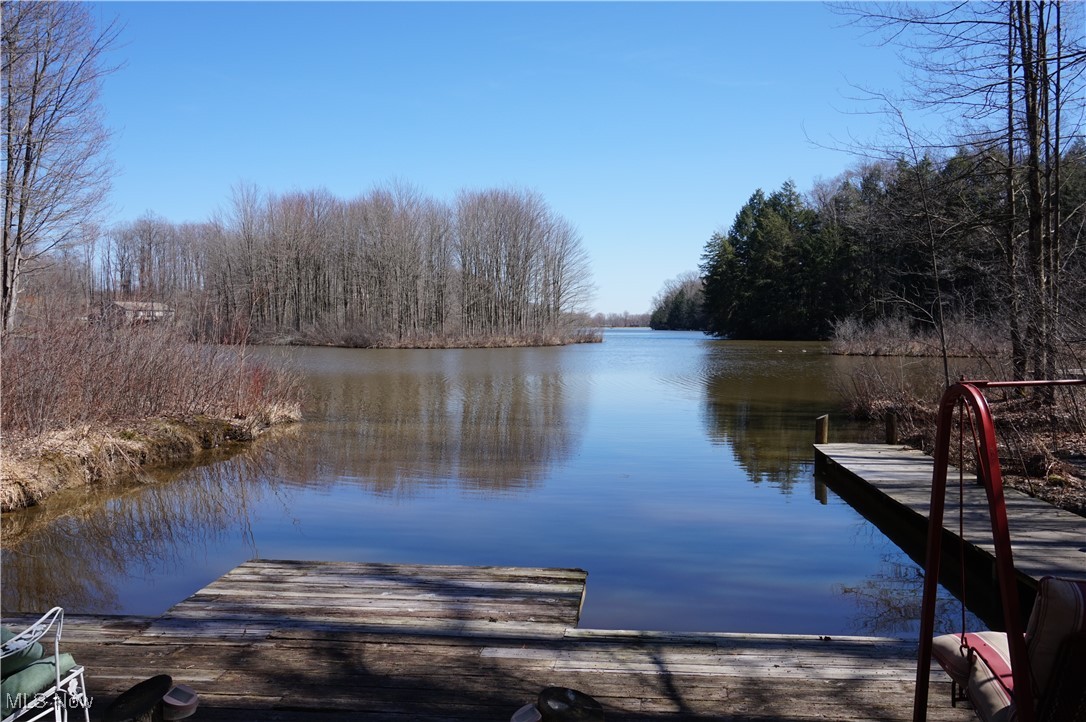 17485 Burrows Road Thompson, OH 44086 - Photo 36 of 43 Dock view